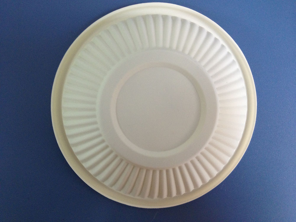 Biodegradable Food Container